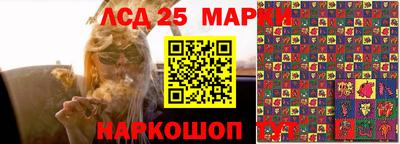 jwh Кимры