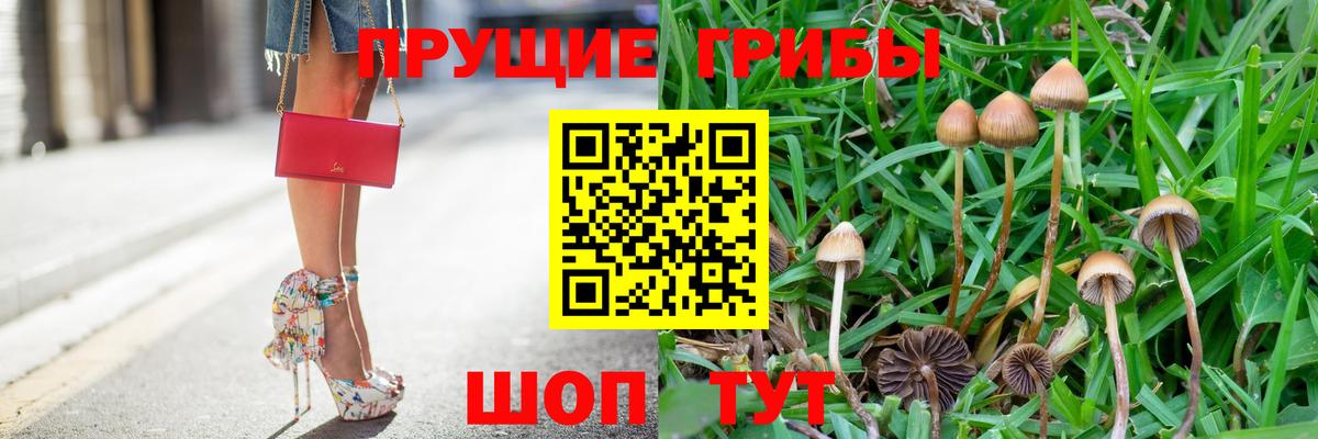 Псилоцибиновые грибы мицелий Шали