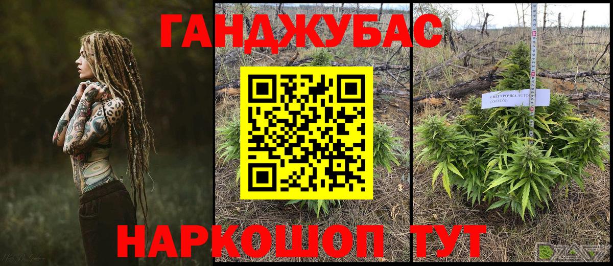 Шишки марихуана Amnesia Шали